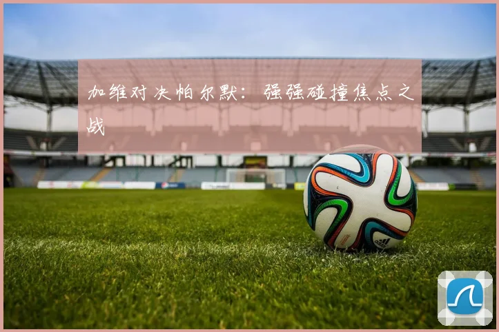 加维对决帕尔默:强强碰撞焦点之战