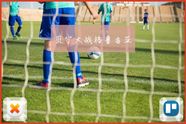 贝宁大战格鲁吉亚