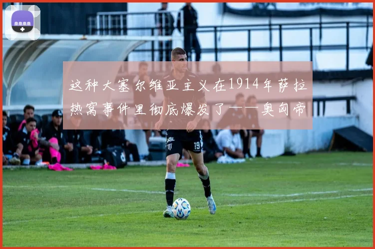 这种大塞尔维亚主义在1914年萨拉热窝事件里彻底爆发了——奥匈帝国的王储费迪南被刺