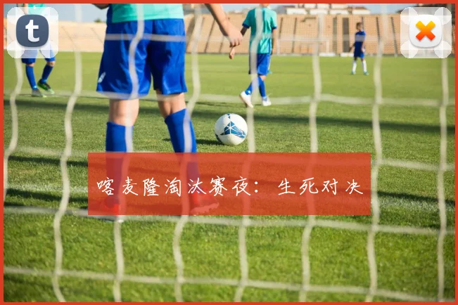 喀麦隆淘汰赛夜：生死对决