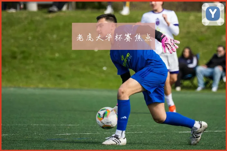 老虎大学杯赛焦点