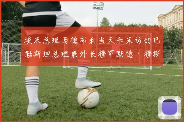埃及总理马德布利当天和来访的巴勒斯坦总理兼外长穆罕默德·穆斯塔法在开罗会谈