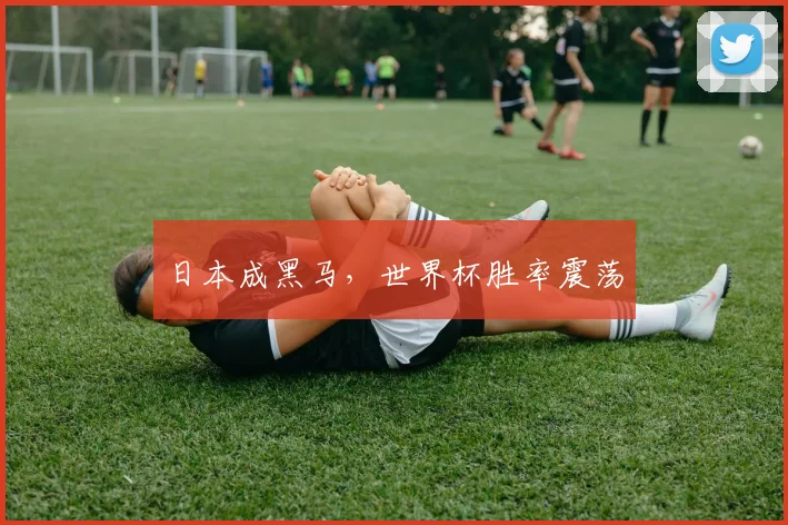 日本成黑马，世界杯胜率震荡