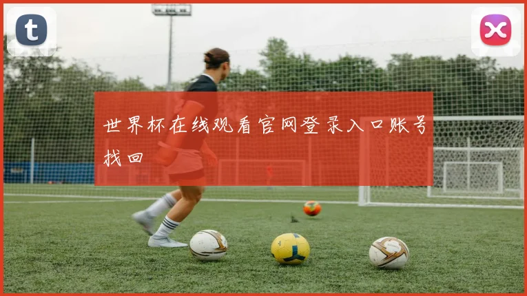 世界杯在线观看官网登录入口账号找回