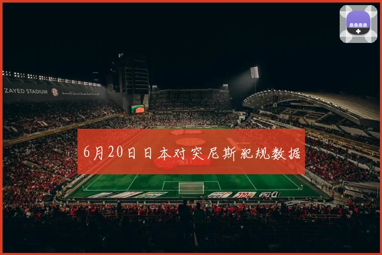 6月20日日本对突尼斯犯规数据