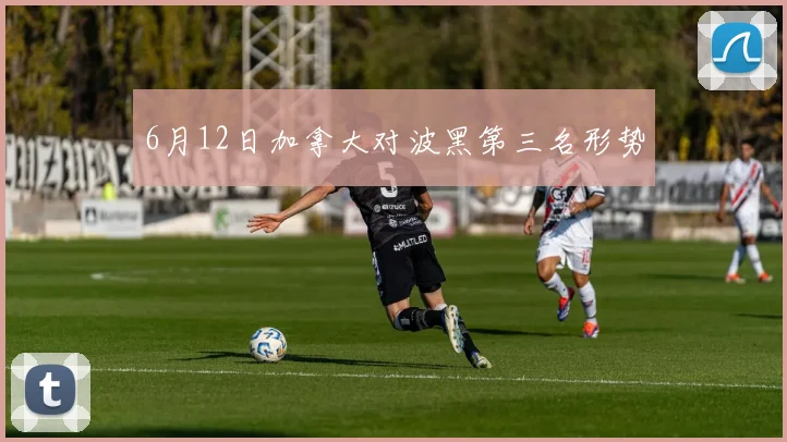 6月12日加拿大对波黑第三名形势
