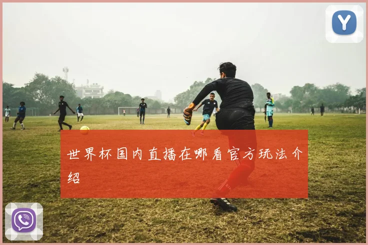 世界杯国内直播在哪看官方玩法介绍