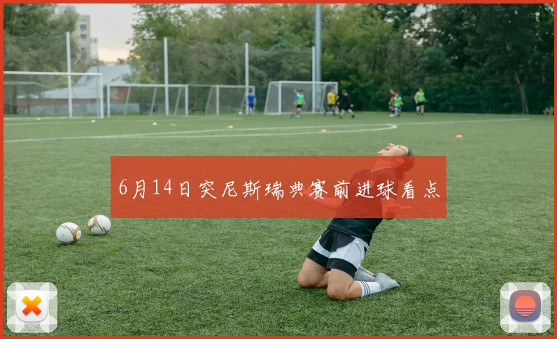 6月14日突尼斯瑞典赛前进球看点